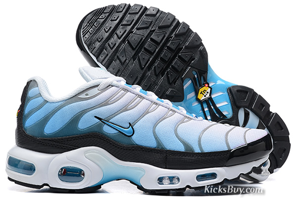 Nike Air Max TN 8909-A118
